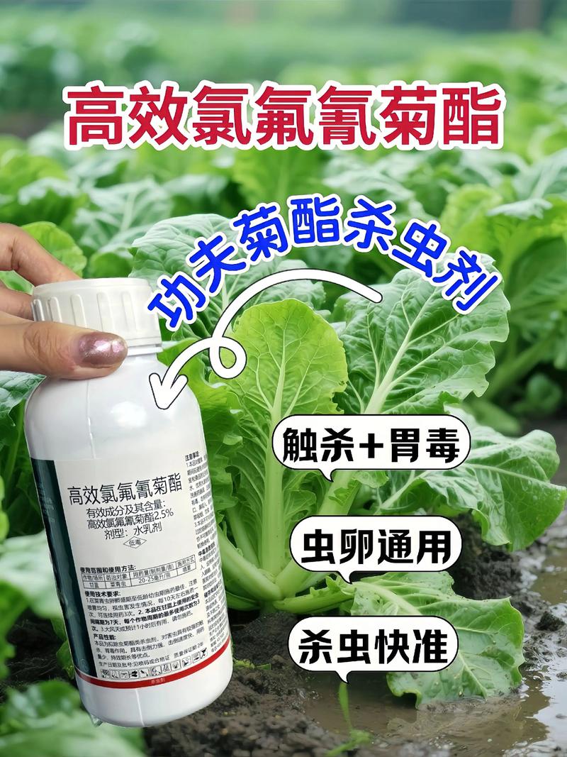 喀什代生中心:农药对供卵代生妈妈的危害